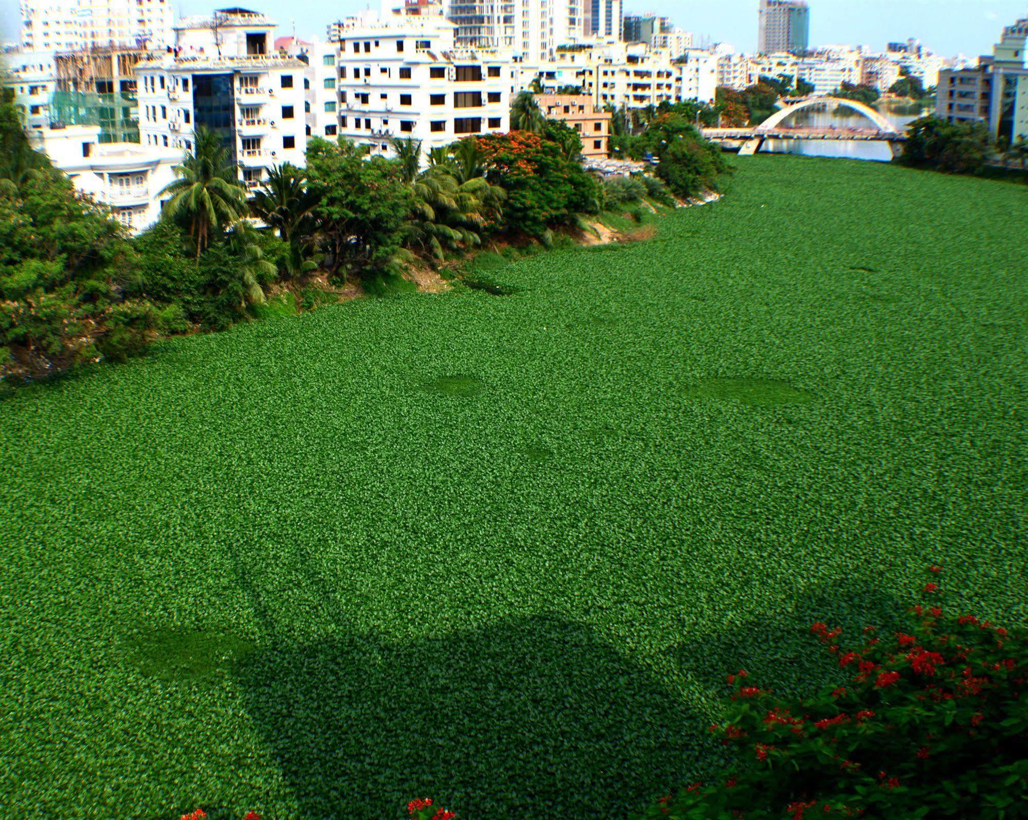 Amazon Lilly Lake View Residence Dhaka Exteriör bild